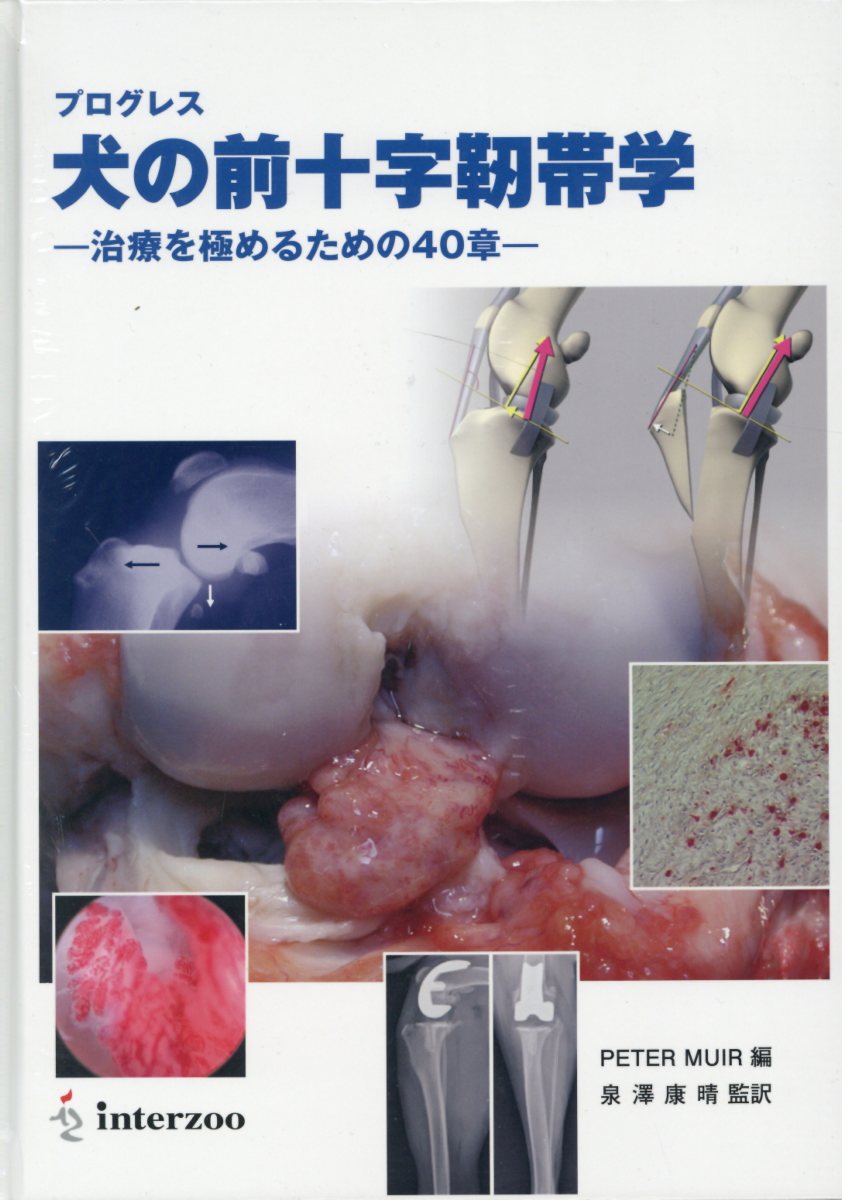 プログレス犬の前十字靭帯学