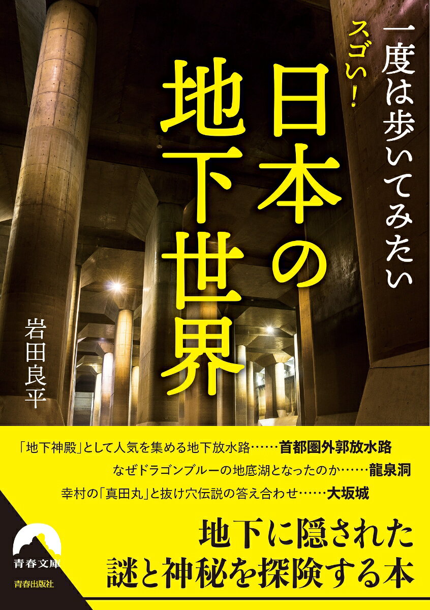 一度は歩いてみたい スゴい！日本の地下世界
