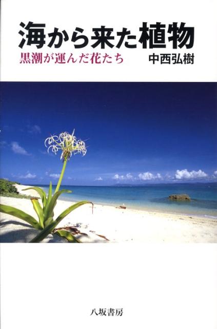 海から来た植物 黒潮が運んだ花たち [ 中西弘樹 ]