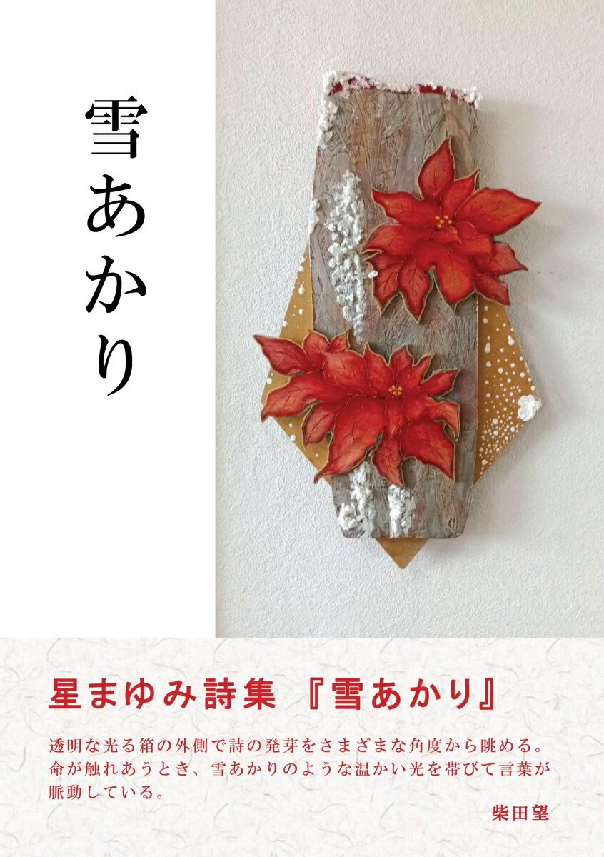 【POD】雪あかり