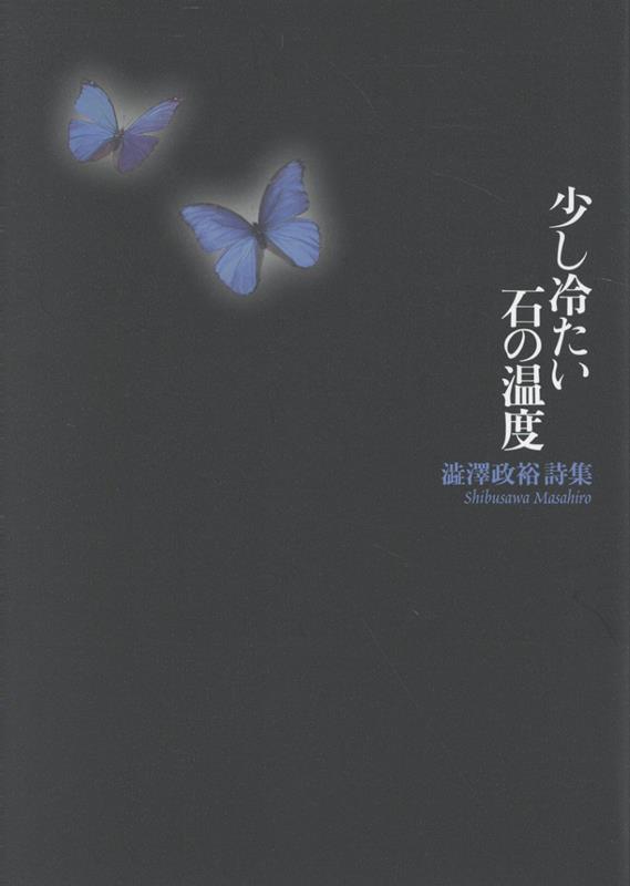 少し冷たい石の温度 : 澁澤政裕詩集