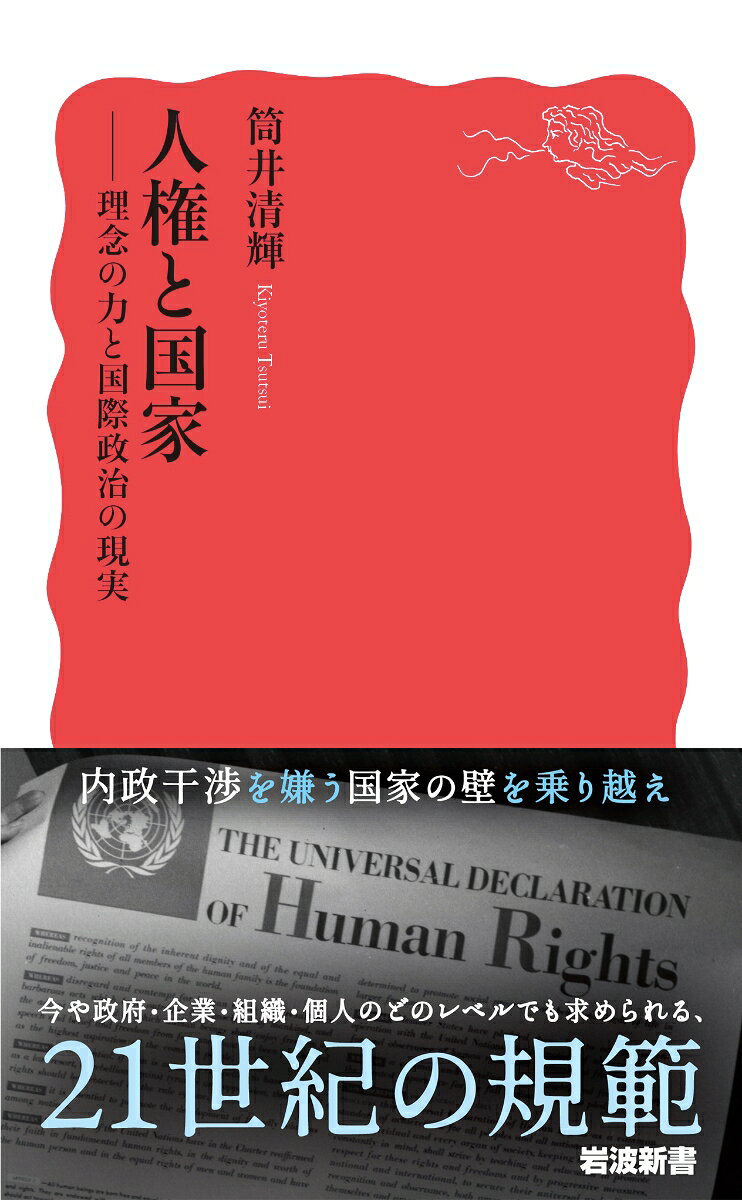 人権と国家 理念の力と国際政治の現実 (岩波新...の紹介画像2
