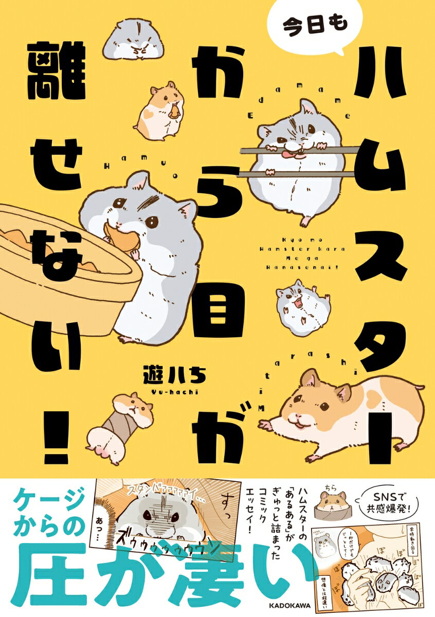 今日もハムスターから目が離せない!