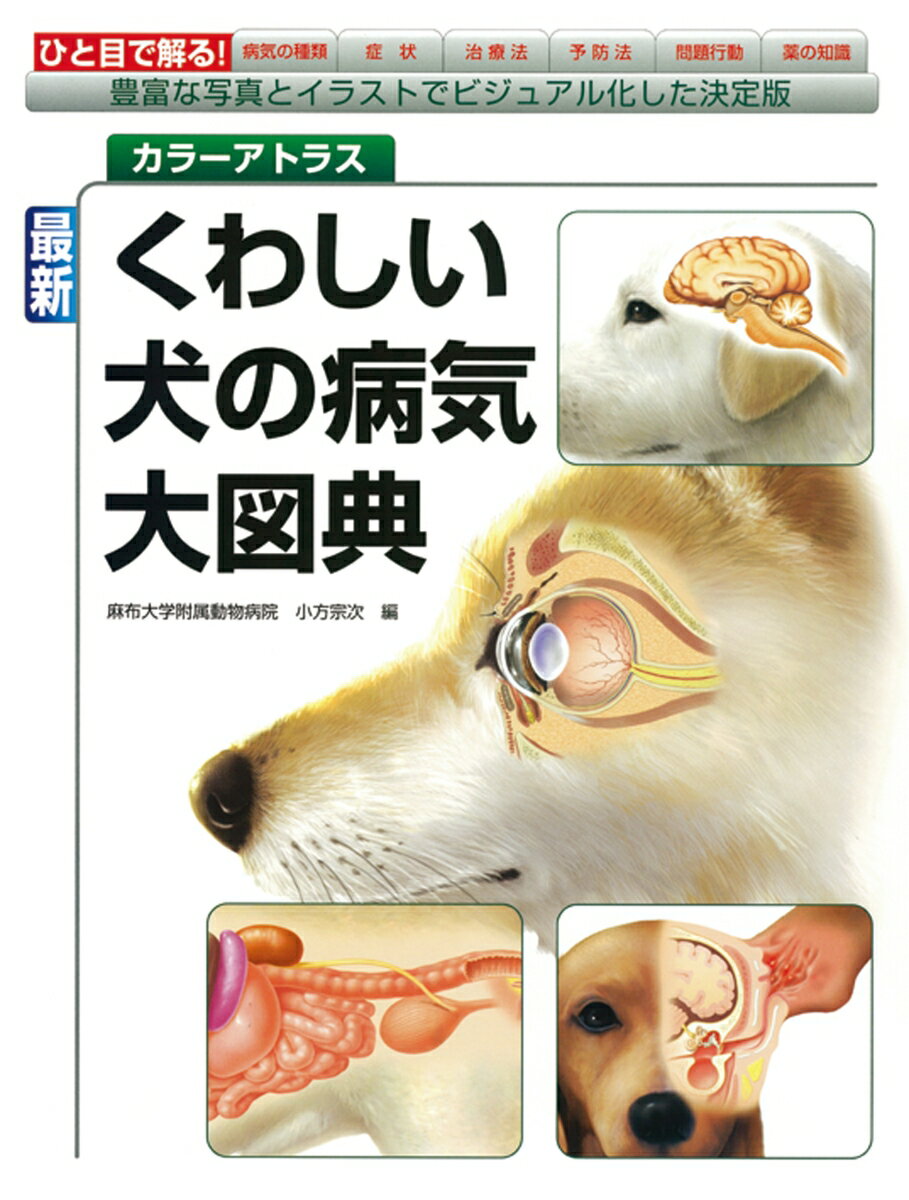 最新 くわしい犬の病気大図典