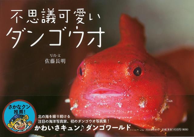 【バーゲン本】不思議可愛いダンゴウオ