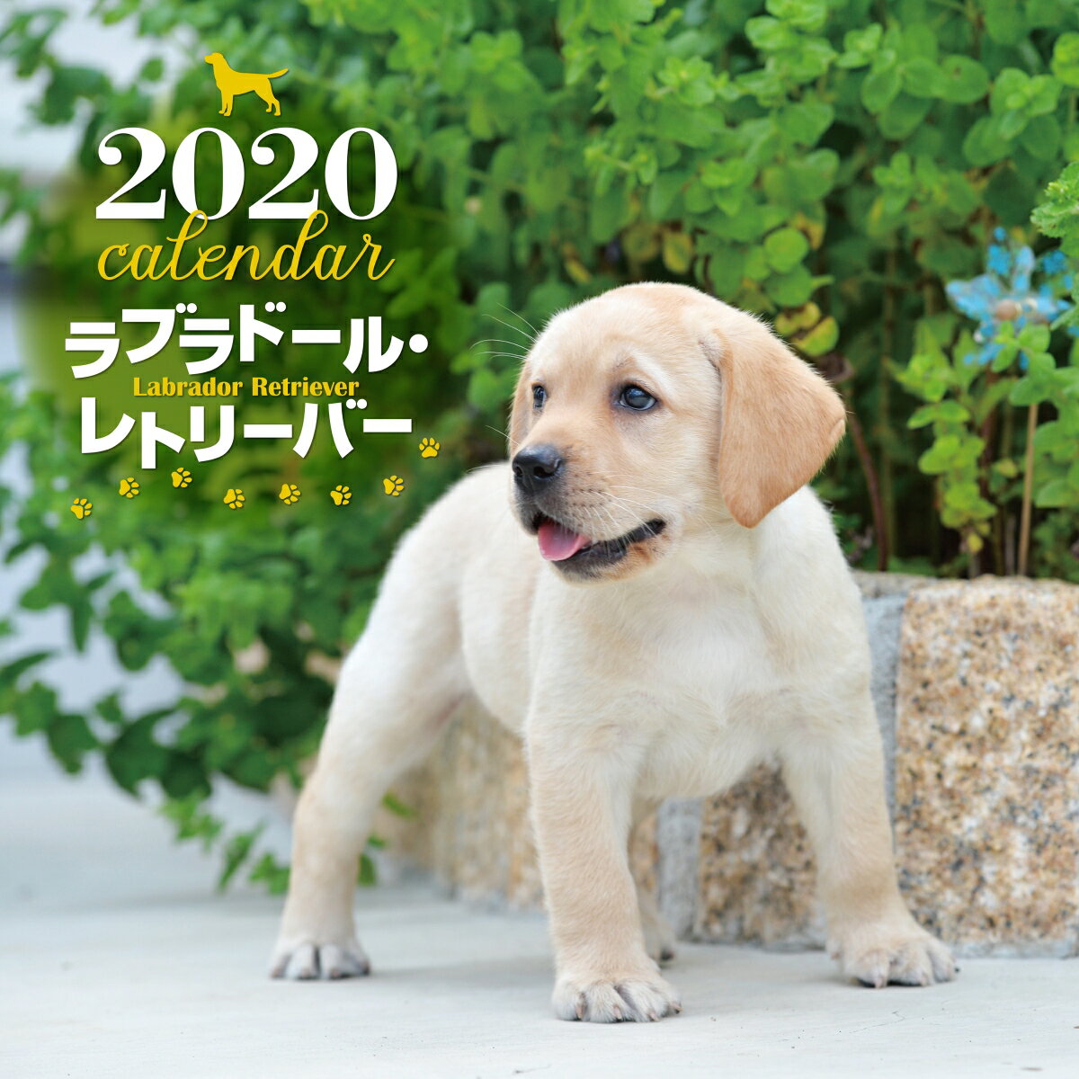 2020年 大判カレンダー　ラブラドール・レトリーバー