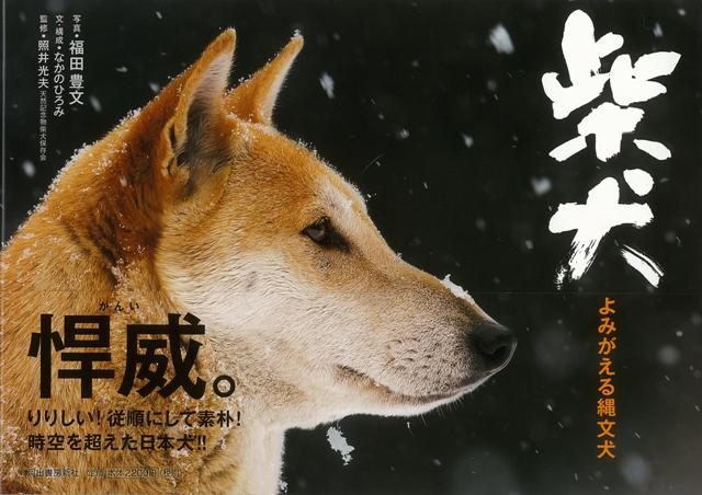 太古の時代より、狩猟を支え、また家族の一員として愛され、私たち日本人と共にずっと生きてきた「縄文柴犬」。現代の一般的な柴犬には見られない野性味あふれる風貌と、その魅力に迫る本。