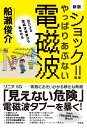 新版 ショック！やっぱりあぶない電磁波 忍びよる電磁波被害から身を守る 船瀬俊介