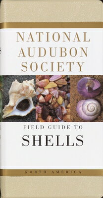 National Audubon Society Field Guide to North American Seashells NAS FGT NORTH AMER SEASHELLS （National Audubon Society Field Guides） [ National Audubon Society ]