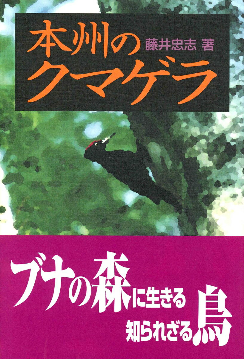 東北地方から北海道に分布する、日本で最も大きなキツツキであるクマゲラ。キツツキ科の代表ともいえるこの鳥は、天然記念物で希少種でもあり、自然の豊かさのシンボルである。とりわけ白神山地や森吉山など東北地方のブナ林に棲息する本州のクマゲラは、個体数も少なく、その生態はほとんど知られていない。本書は、本州産クマゲラ研究者による豊富なフィールドワークに基づく、本州のクマゲラのやさしい解説書。