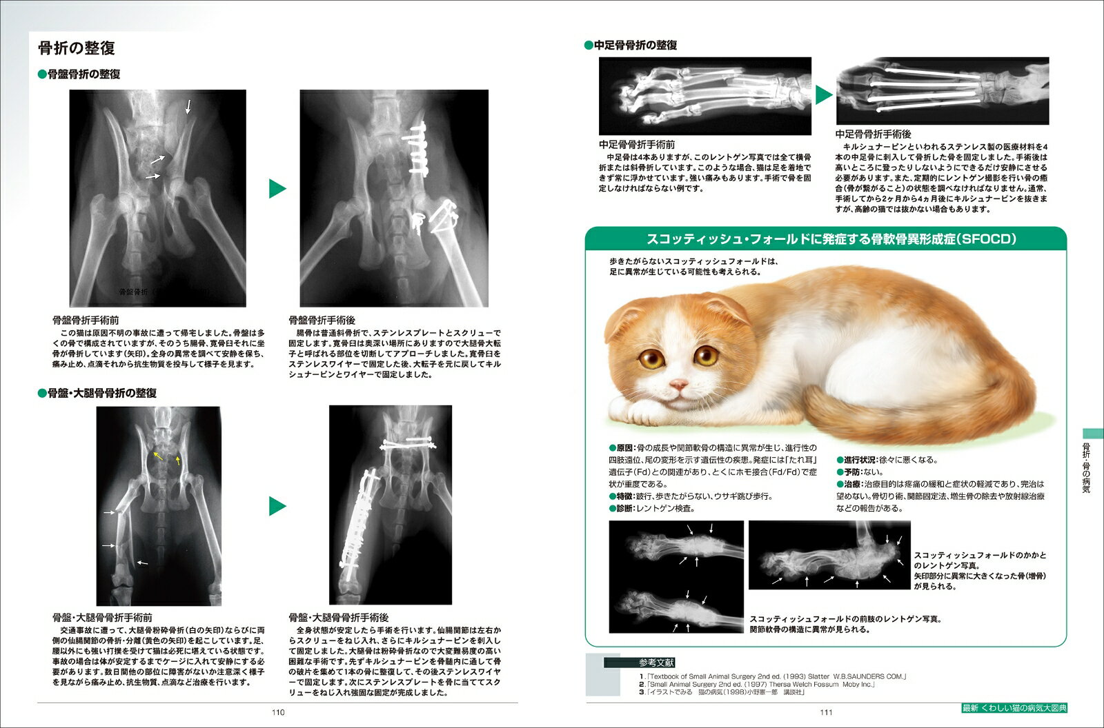 最新　くわしい猫の病気大図典 豊富な写真とイラストでビジュアル化した決定版 （カラーアトラス） [ 小方 宗次 ] 2