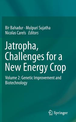 Jatropha, Challenges for a New Energy Crop: Volume 2: Genetic Improvement and Biotechnology JATROPHA CHALLENGES FOR A NEW [ Bir Bahadur ]