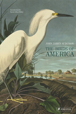 The Birds of America BIRDS OF AMER [ John James Audubon ]