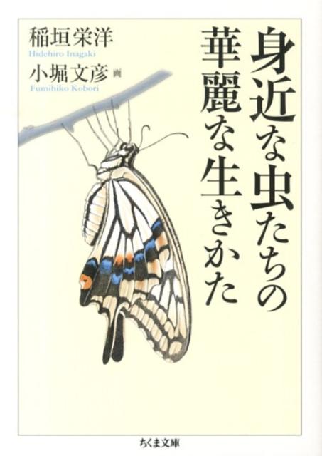 身近な虫たちの華麗な生きかた （ちくま文庫） [ 稲垣栄洋 ]のサムネイル