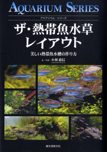 ザ・熱帯魚水草レイアウト