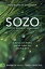 SOZO Saved Healed Delivered: A Journey into Freedom with the Father, Son, and Holy Spirit SOZO SAVED HEALED DELIVERED [ Teresa Liebscher ]