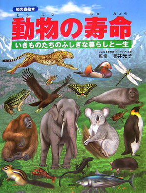 動物の寿命 いきものたちのふしぎな暮らしと一生 （知の森絵本） [ 増井光子 ]