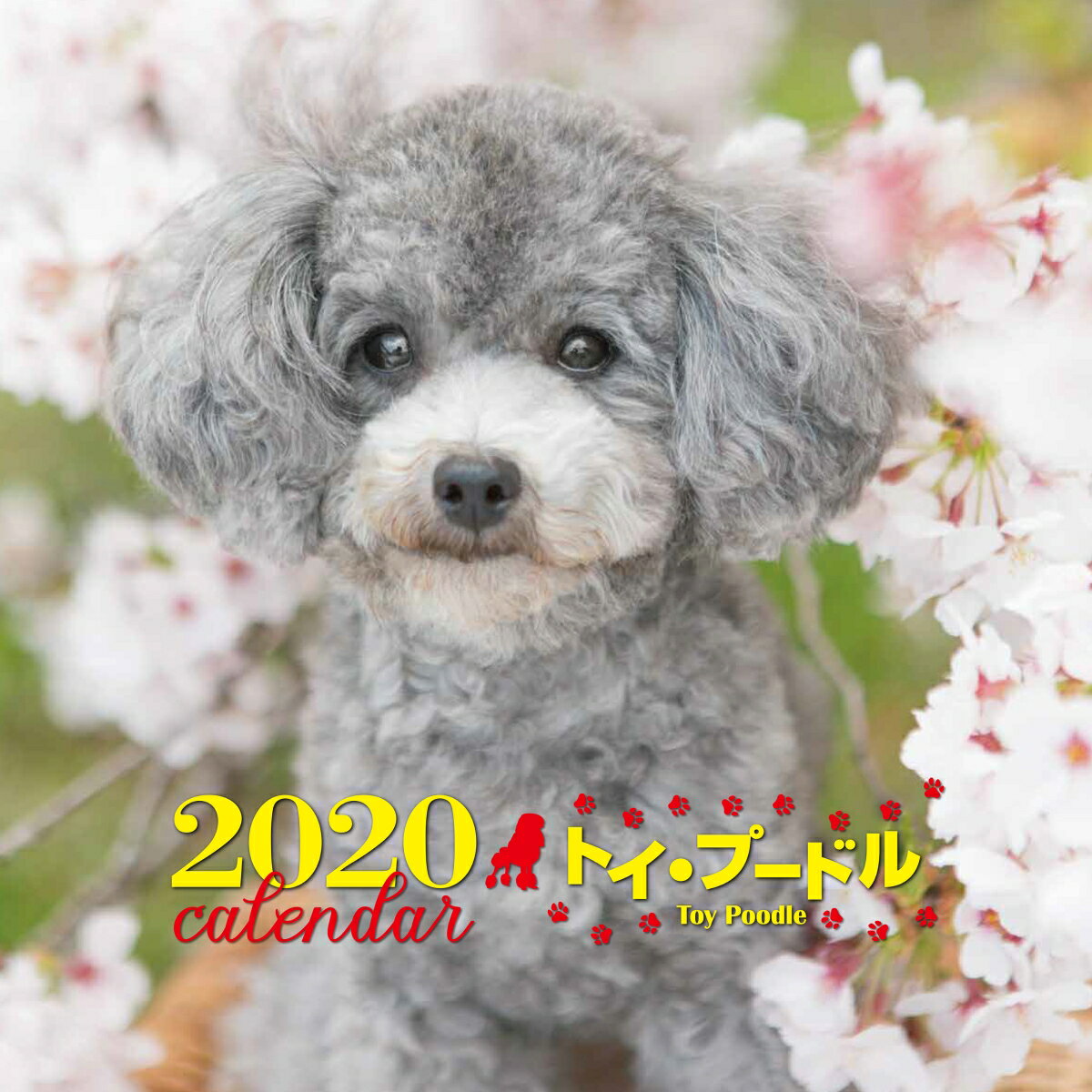 2020年 大判カレンダー　トイ・プードル [ 平林 美紀 ]