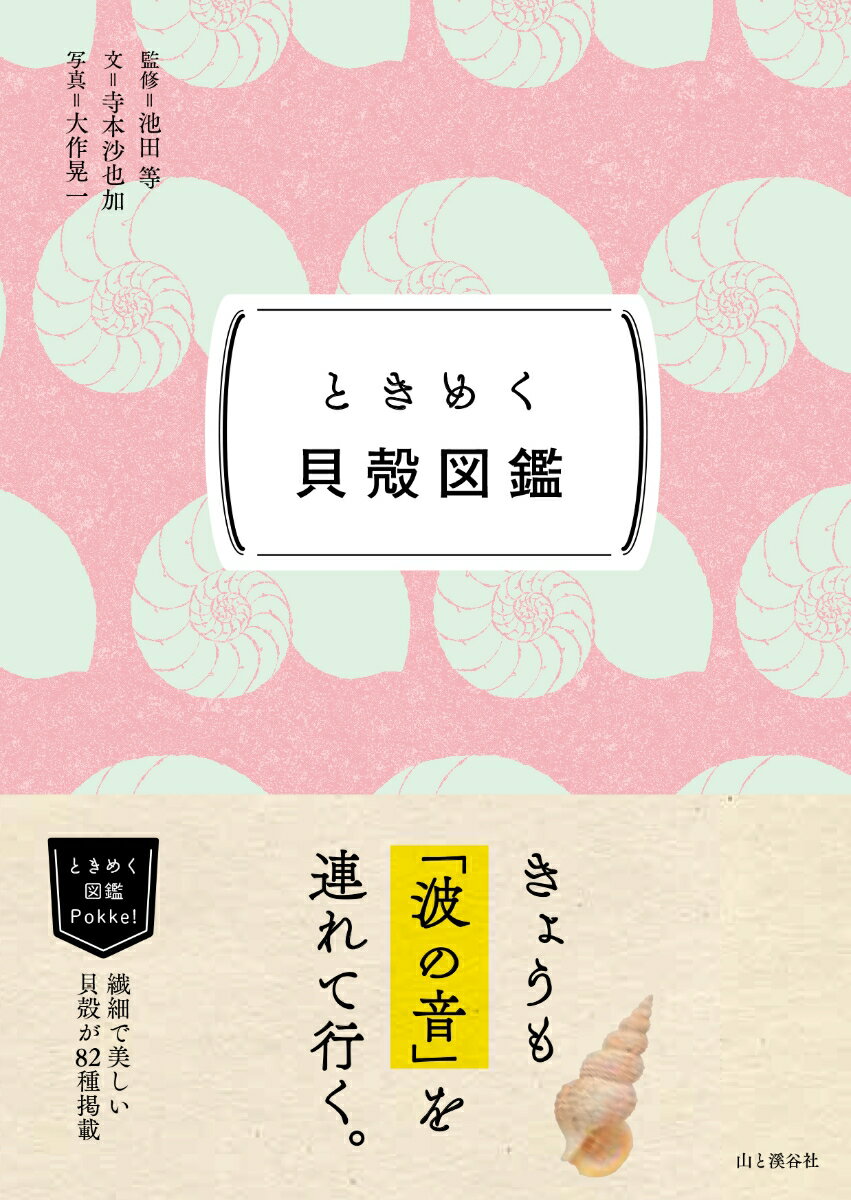 繊細で美しい貝殻が８２種掲載。