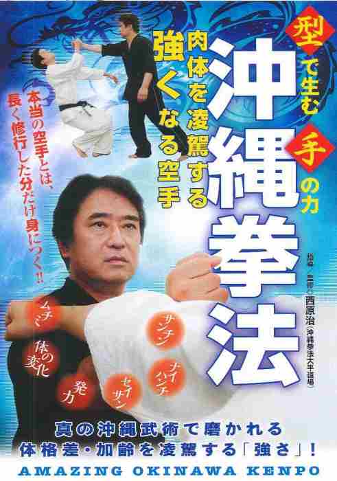 型で生む手の力沖縄拳法☆（DVD）☆
