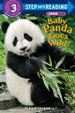 Baby Panda Goes Wild BABY PANDA GOES WILD （Step Into Reading） David Salomon