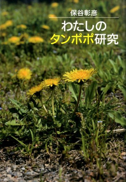 わたしのタンポポ研究
