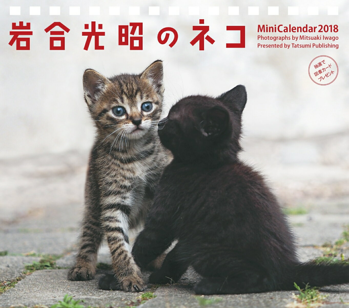 2018ミニカレンダー　岩合光昭のネコ