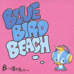 B 〜道の先へ〜(初回限定盤 CD+DVD)