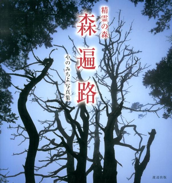 森遍路