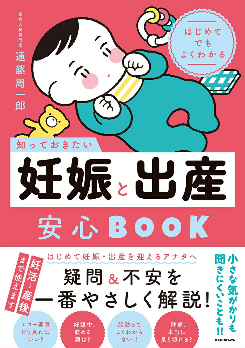 はじめてでもよくわかる 知っておきたい妊娠と出産安心BOOK [ 遠藤　周一郎 ]