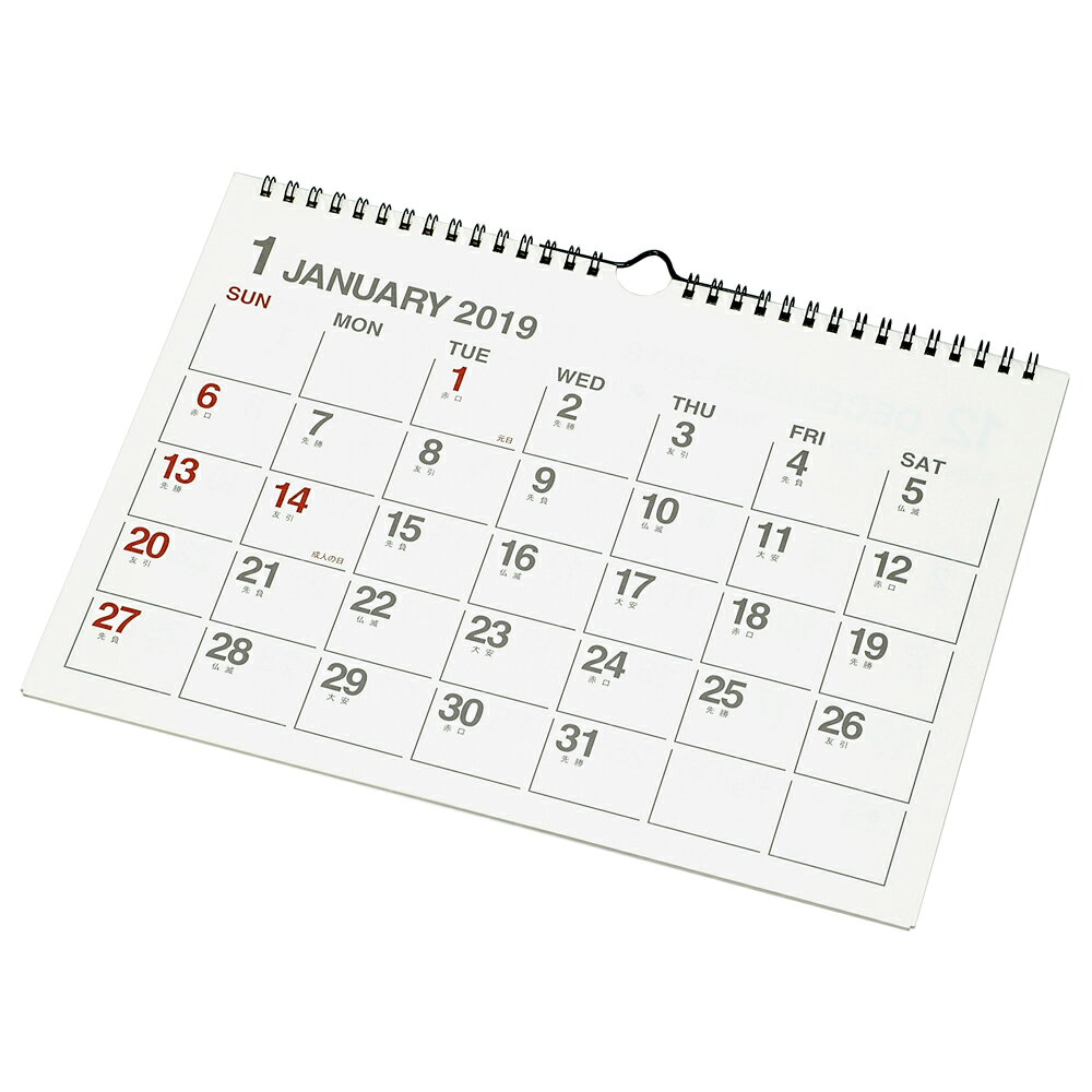 2019年 カレンダー 壁掛け A4 アイボリー