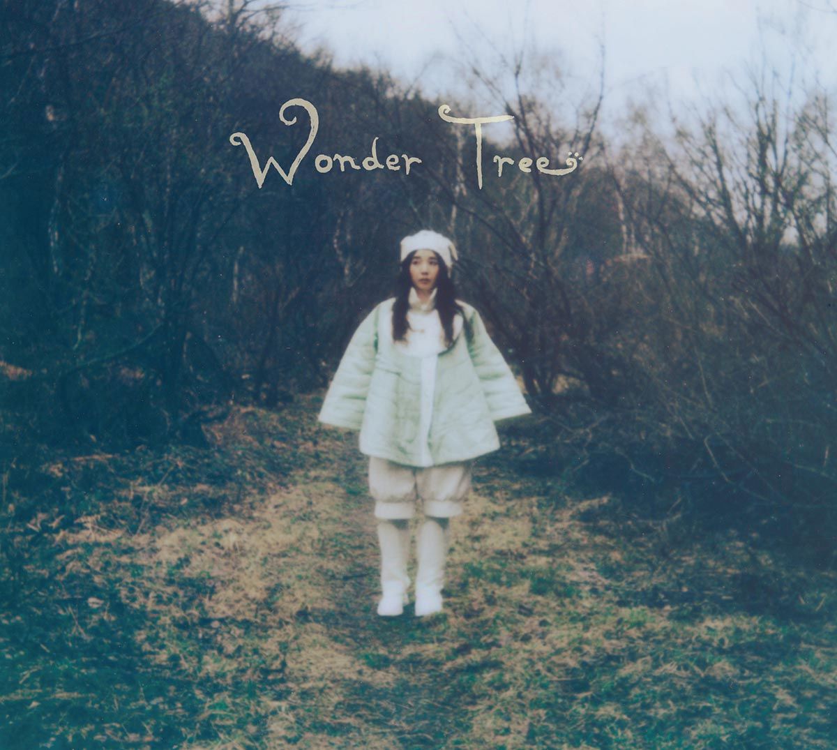 Wonder Tree