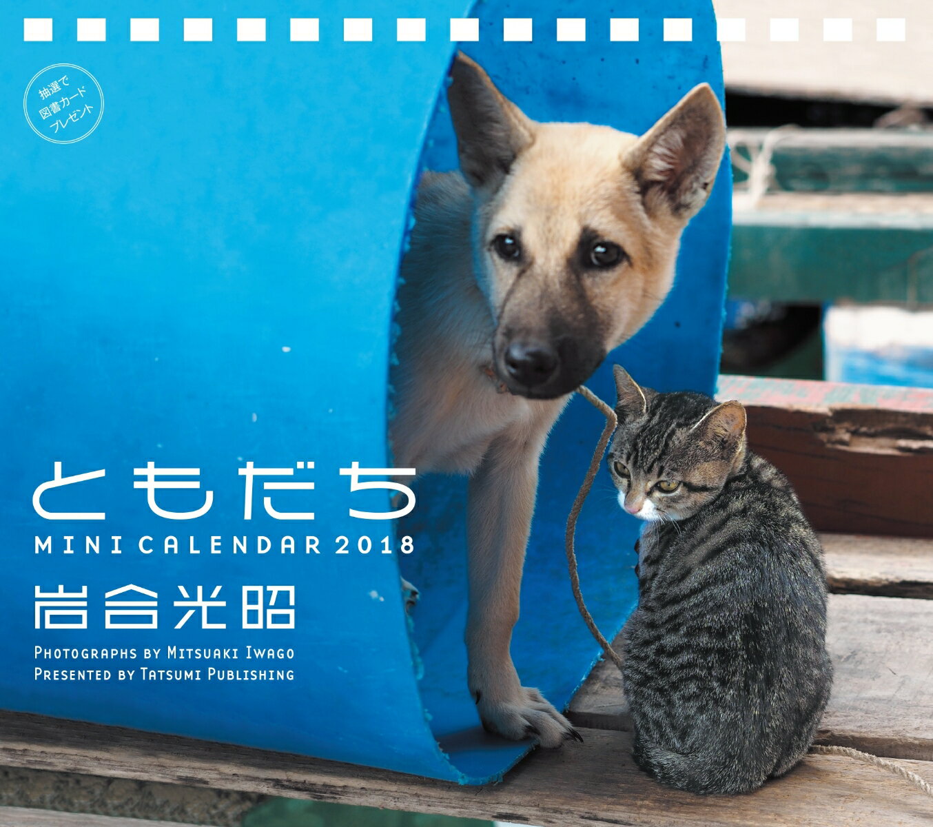 2018ミニカレンダー　岩合光昭　ともだち