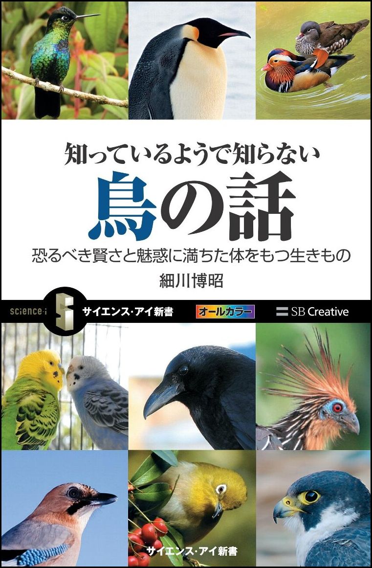 知っているようで知らない鳥の話