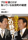 プロ秘書だけが知っている永田町の秘密 （講談社＋α文庫） [