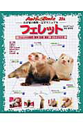 フェレット改訂