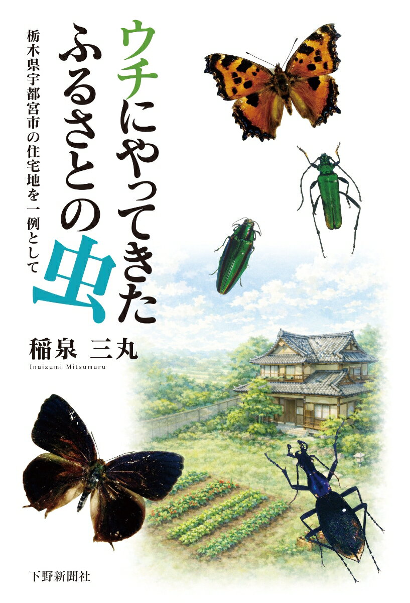 ウチにやってきたふるさとの虫
