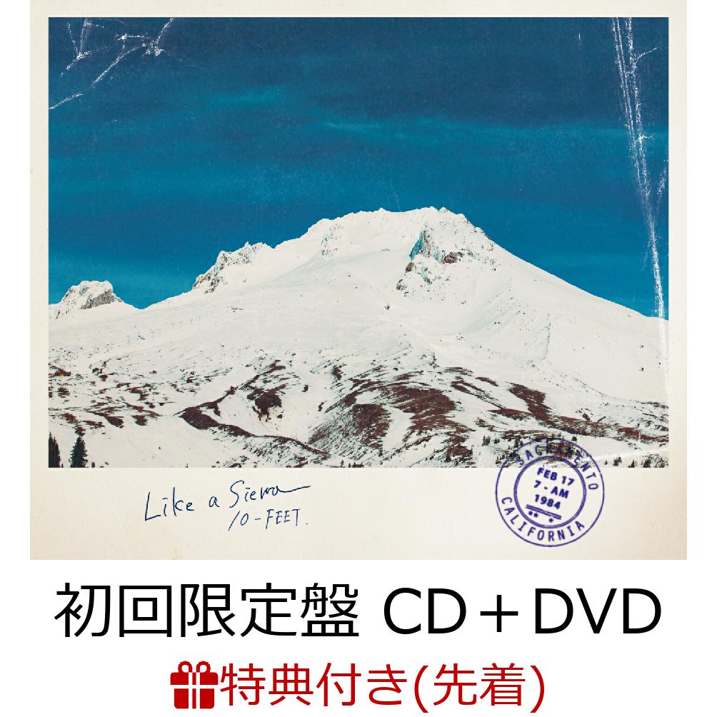 【先着特典】シエラのように (初回限定盤 CD＋DVD) (ポストカードカレンダー)