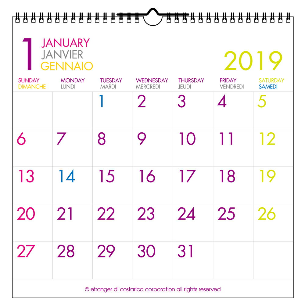 2019年 カレンダー 壁掛け LP フーツラM