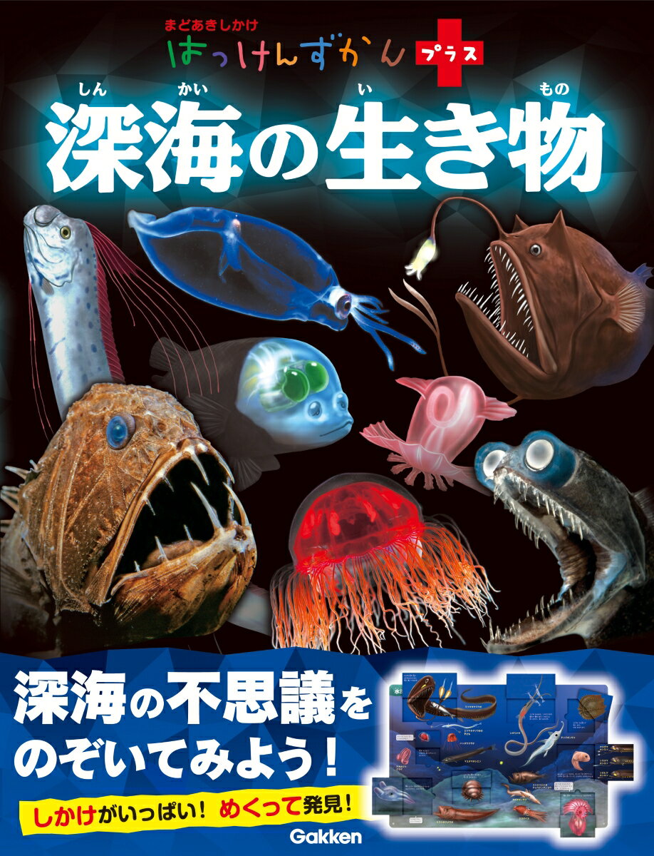 深海の生き物