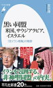 黒い同盟 米国、サウジアラビア、イスラエル（921） 「反イラン枢軸」の暗部 （平凡社新書） [ 宮田 律 ]