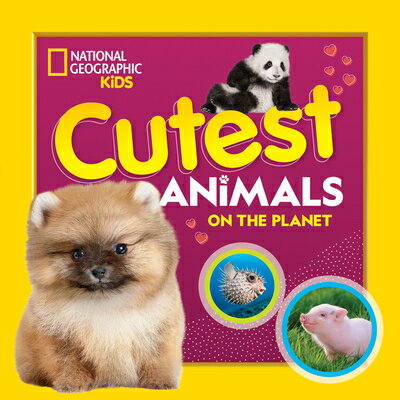 楽天楽天ブックスCutest Animals on the Planet CUTEST ANIMALS ON THE PLANET [ National Geographic Kids ]