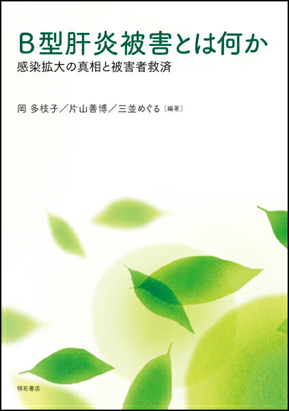 B型肝炎被害とは何か 感染拡大の真相と被害者救済 [ 岡　多枝子 ]