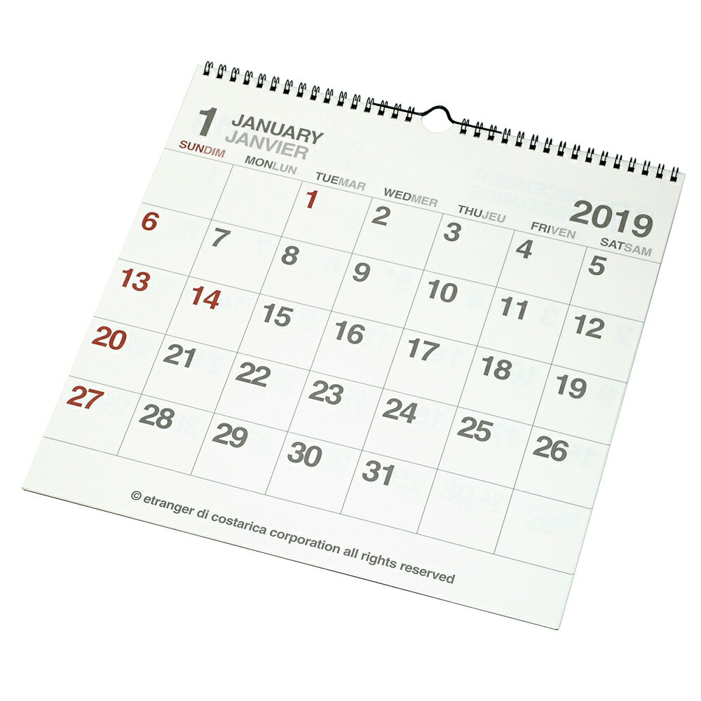 2019年 カレンダー 壁掛け LP ショセキ