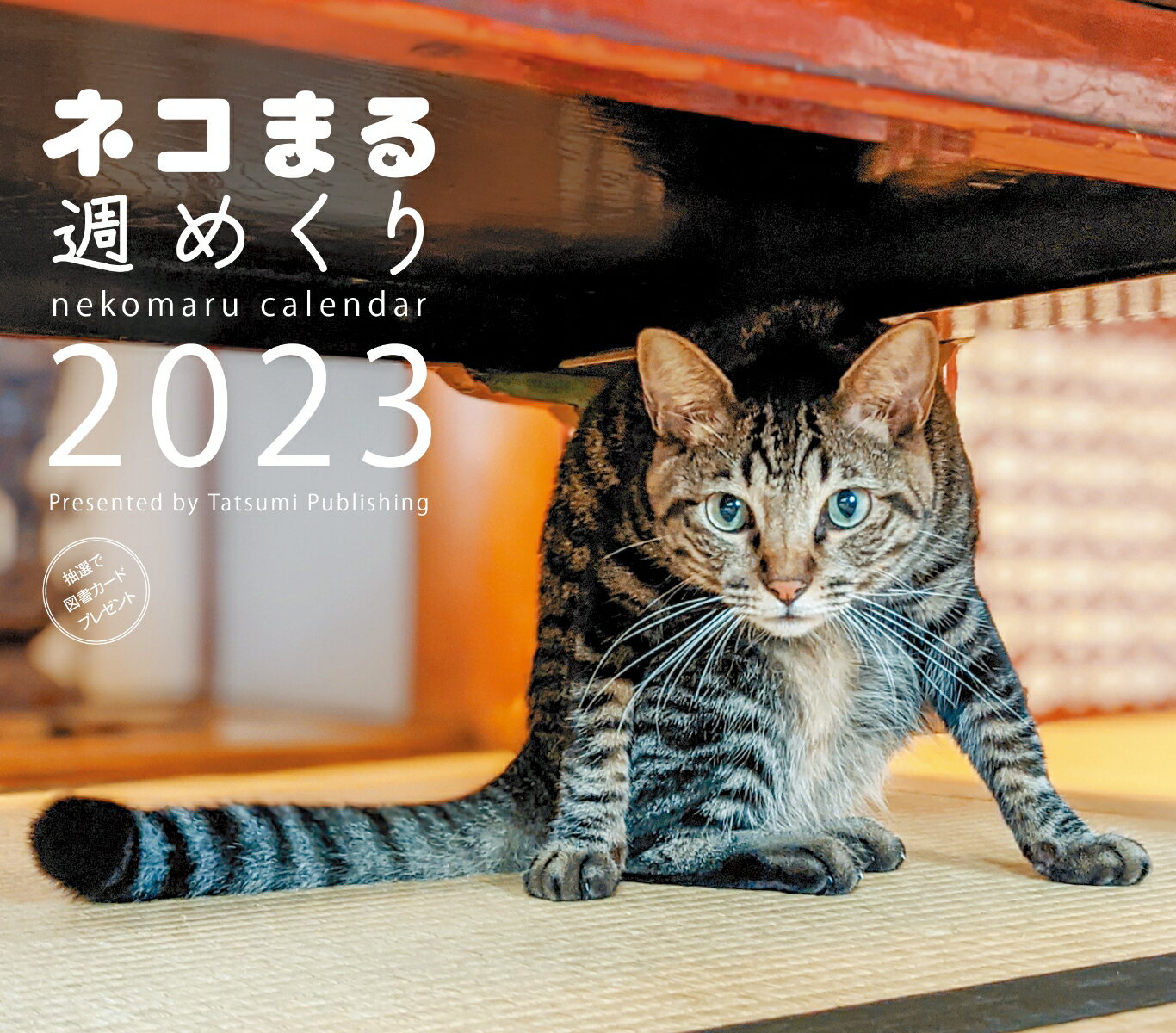 2023カレンダー ネコまる 週めくり