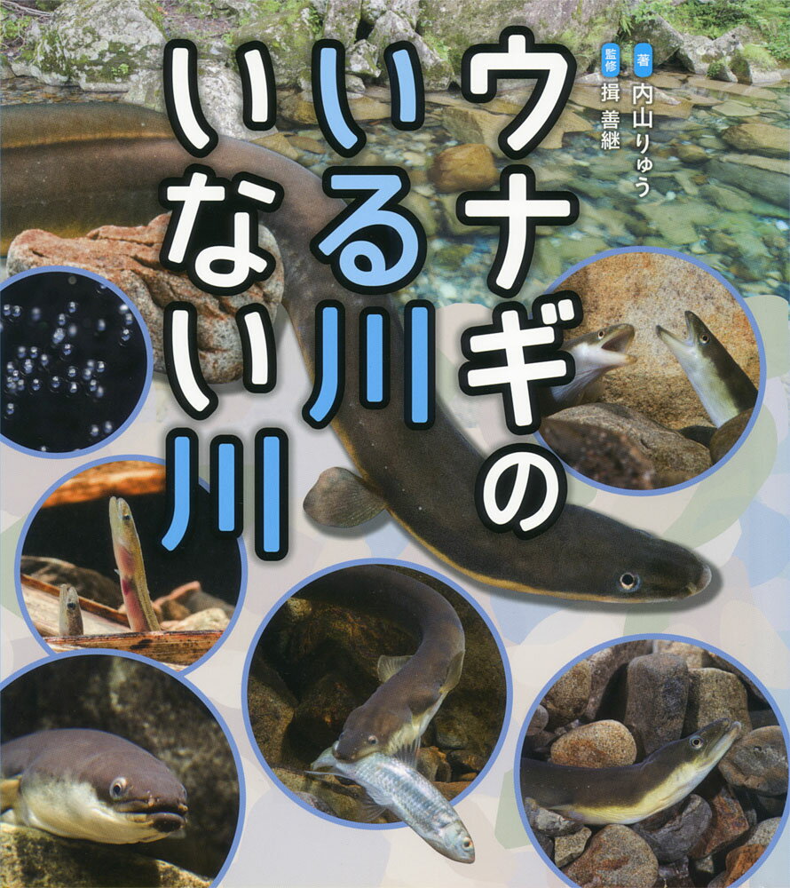 ウナギのいる川　いない川 （ポプラサイエンスランド　5） [ 内山　りゅう ]