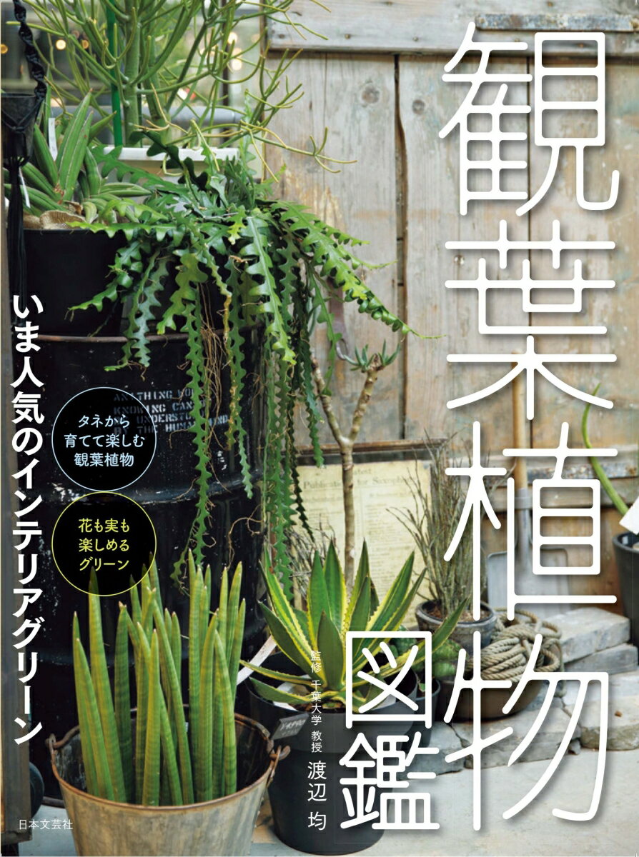 観葉植物図鑑