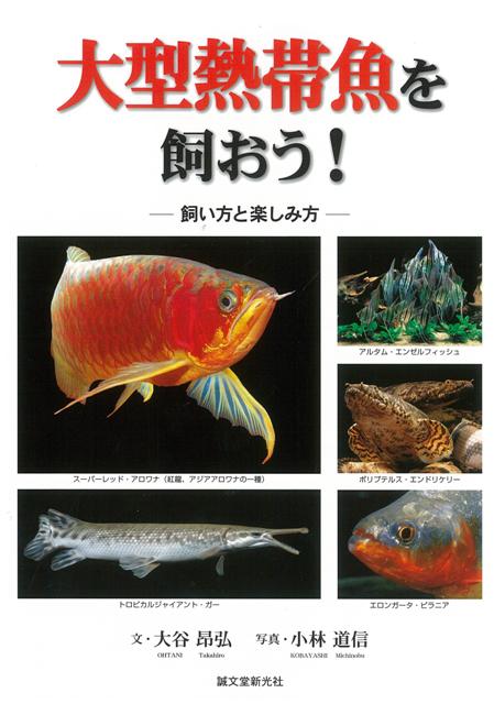 【バーゲン本】大型熱帯魚を飼おう！