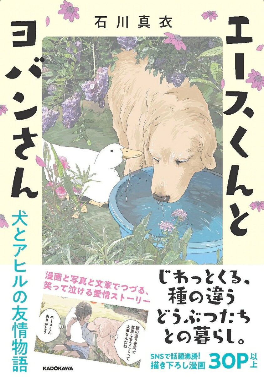 版画家の石川真衣さんが性格が真逆なエースくんとヨバンさんと鎌倉で暮らす日々。
ゴールデンレトリバーとアヒル、そして人間との心通い合う笑って泣ける愛情ストーリーを［漫画＋写真＋文章］でつづります。
犬のエースくんは、穏やかでとにかくやさしい男の子。
アヒルのヨバンさんは、頭上の飛行機にもキレ散らかす活発な女の子。
種の違うどうぶつが暮らすのって、どうしてこんなにじわっとくるのでしょう。