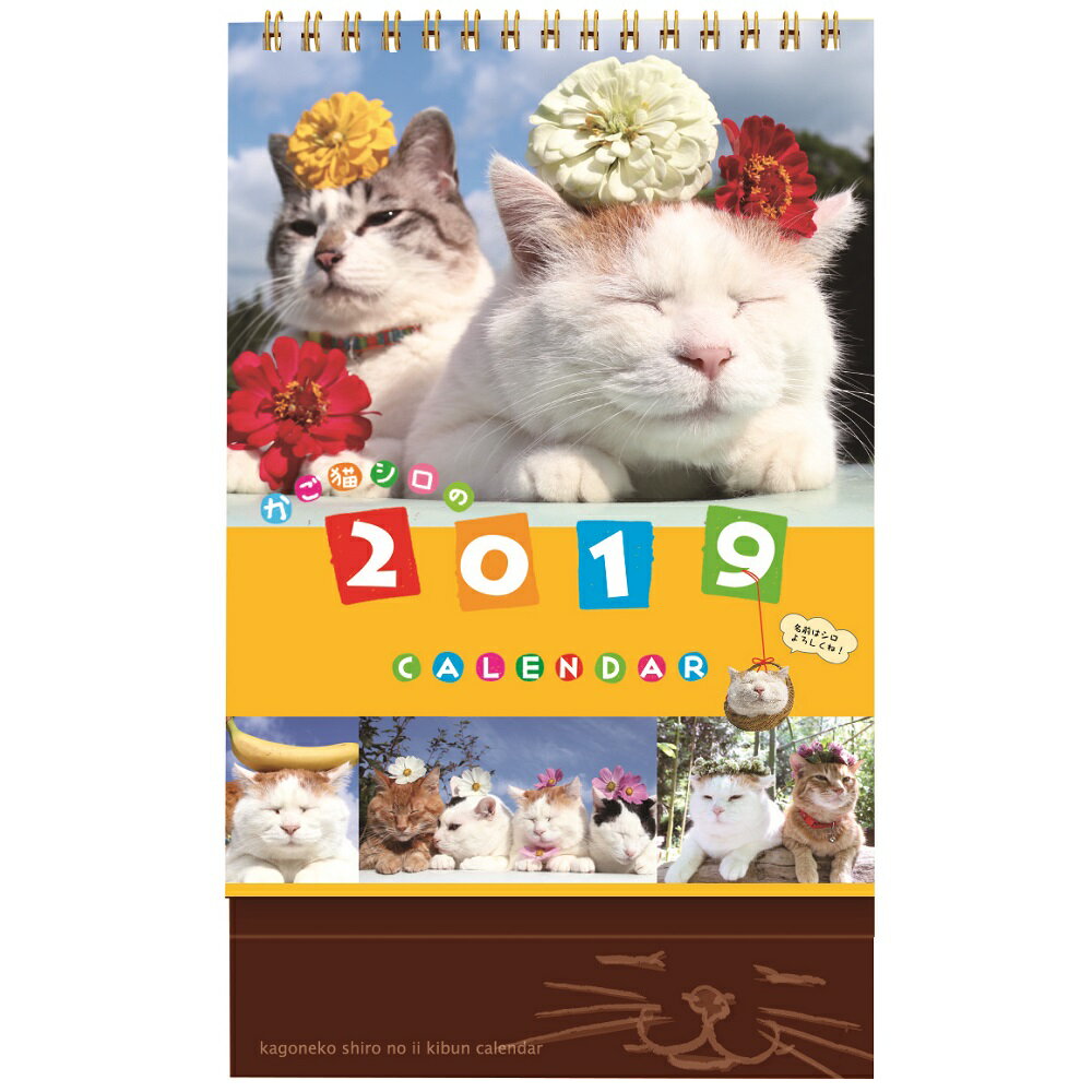 2019年 カレンダー 卓上 かご猫 カレンダー